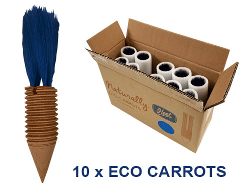 Eco Carrots (Pack of 10)