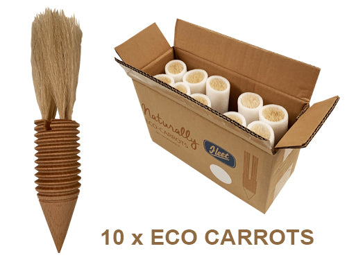 Eco Carrots (Pack of 10)