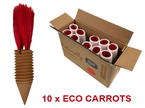 Eco Carrots (Pack of 10)